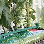 The Growtube