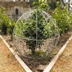 Topiary Frames Topiary Frames