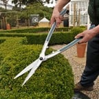 Topiary Hedge Shears Topiary Hedge Shears