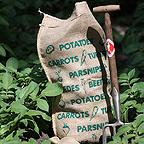 Vegetable Sacks Vegetable Sacks