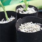 Vermiculite Vermiculite