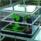 Vitopod Heated Propagator