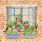 Window Box Garden Window Box Garden