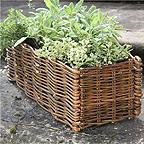 Window Box Planter and Willow Surround