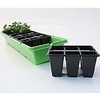 Windowsill Greenhouse