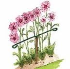 Y-Stakes Plant Supports
