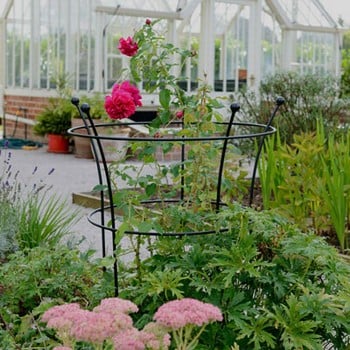 Choosing the right Plant Support