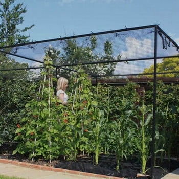 Heavy Duty Steel Fruit Cage