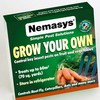 How to protect fruit and vegetables from pests using Nemasys Grow Your Own 