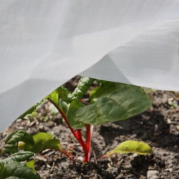 Insect Mesh Netting