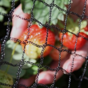 Netting Guide 