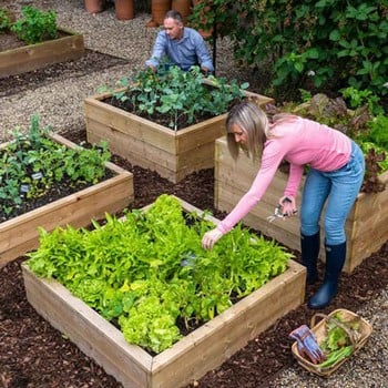 Standard Wooden Raised Beds