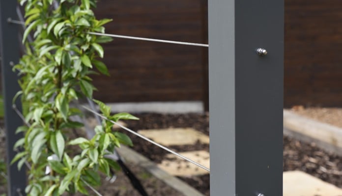 Contemporary Fruit Tree Frame detail Contemporary Fruit Tree Frame detail