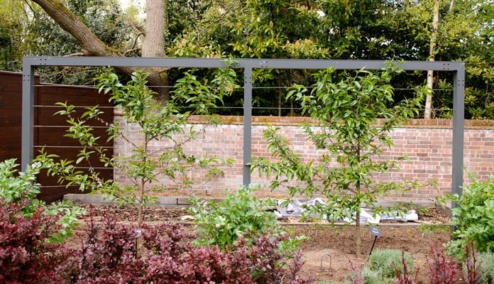 Contemporary Fruit Tree Frame Contemporary Fruit Tree Frame