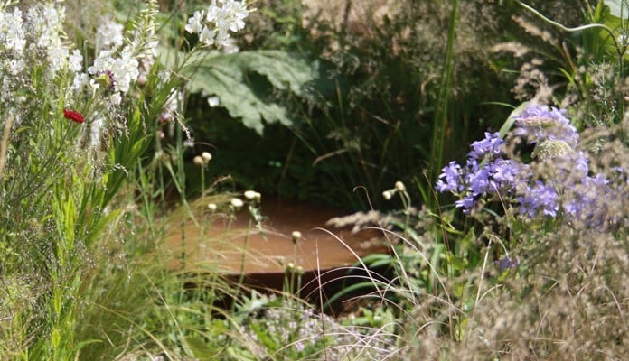 Bespoke Steel Water Bowl at RHS Hampton Court 2016 Bespoke Steel Water Bowl at RHS Hampton Court 2016