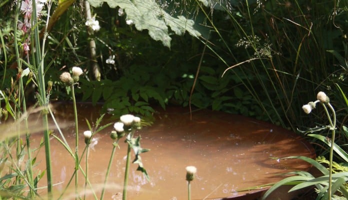 Bespoke Steel Water Bowl at RHS Hampton Court 2016 Bespoke Steel Water Bowl at RHS Hampton Court 2016