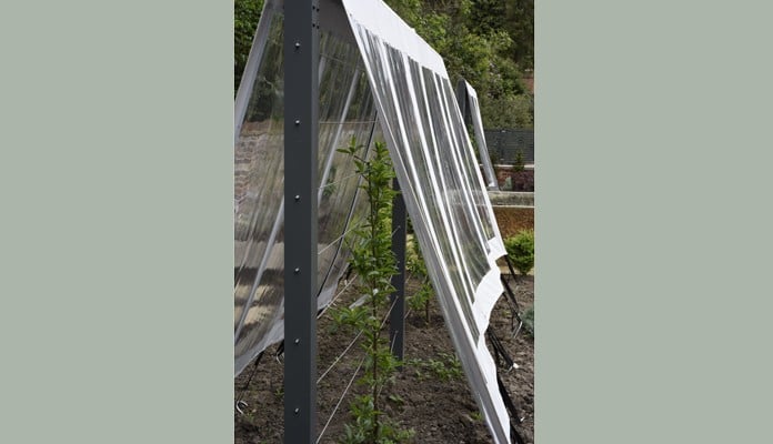 Inside Contemporary Fruit Tree Cover & Frame Inside Contemporary Fruit Tree Cover & Frame