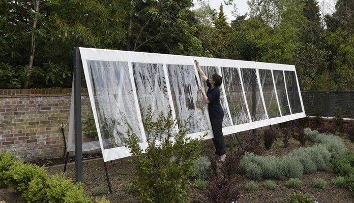 Contemporary Fruit Tree Frame with covers removing Contemporary Fruit Tree Frame with covers removing