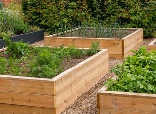 Award-Winning Wooden Raised Beds