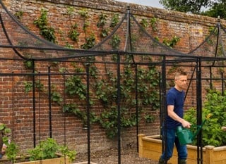 Fruit Cages - Special Offer - SAVE 10%!