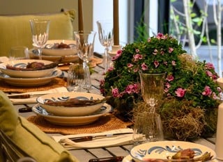 Harrod Horticultural Pop-Up Showroom is Now Open!