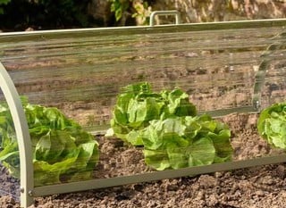 Our NEW Harrod Longrow Cloche