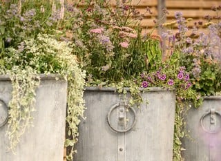 Sale & Special Offers Now On! Sale & Special Offers Now On!