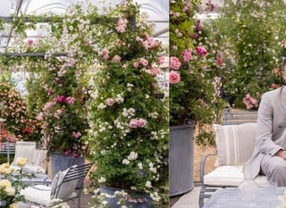 Southwold Furniture at Chelsea Flower Show Southwold Furniture at Chelsea Flower Show