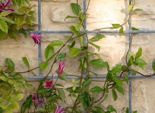 Trellis - Made in the UK
