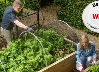 Which? Best Buy Raised Bed Kits 2023