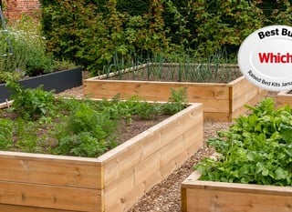 Which? Best Buy Raised Bed Kits 2023