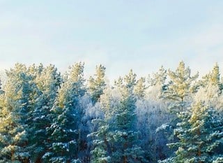 Winter Special Offers
