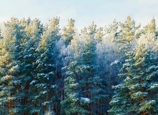 Winter Special Offers