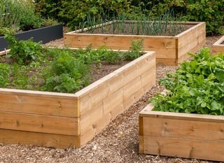 Wooden Raised Beds