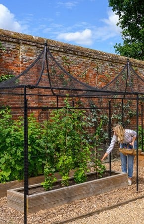Fruit Cages Fruit Cages