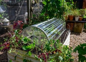 Cloches & Tunnels Cloches & Tunnels