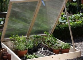 Cold Frames Cold Frames