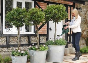 Decorative Planters & Pots Decorative Planters & Pots