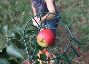Harvesting Tools Harvesting Tools