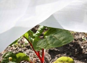 Insect Mesh Netting Insect Mesh Netting