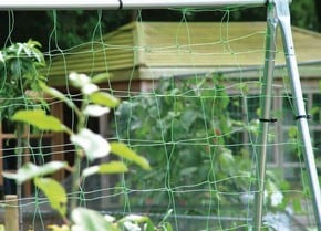 Pea & Bean Netting Pea & Bean Netting