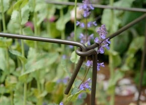 Plant supports on sale