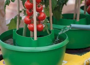 Planter & Growbag Watering Planter & Growbag Watering