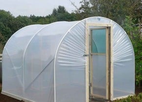 Polytunnels Polytunnels