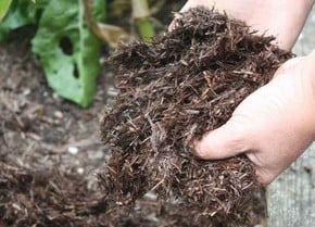 Soil Improvers & Compost Soil Improvers & Compost