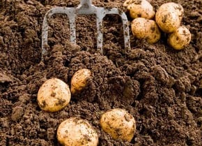 Topsoil & Bark Topsoil & Bark