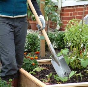 Tool Garden Allotment Burgon & Ball Hand Vegetable Hoe 