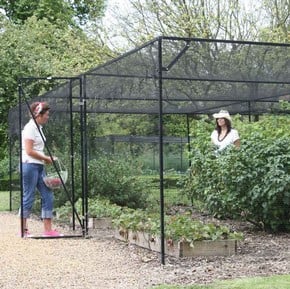 Fruit Cages Garden Supplies By Harrod Horticultural