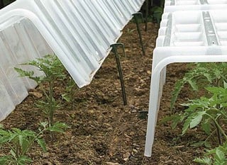 Cloches &amp; Cold Frames