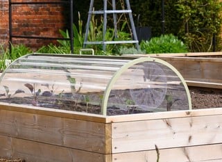 Cloches &amp; Cold Frames